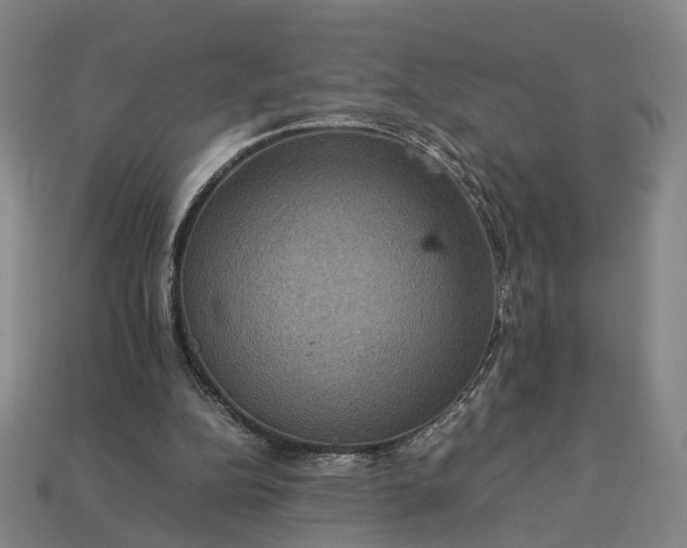 X0000112950152200909071123