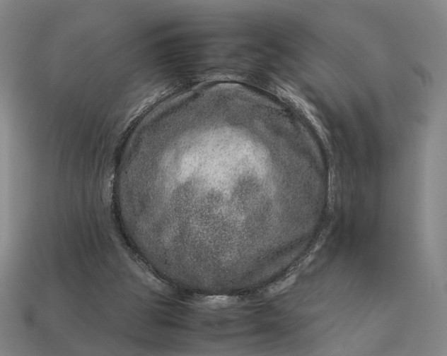 X0000112950153200909071123