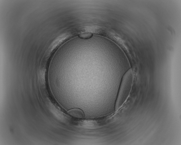 X0000112950154200909071123