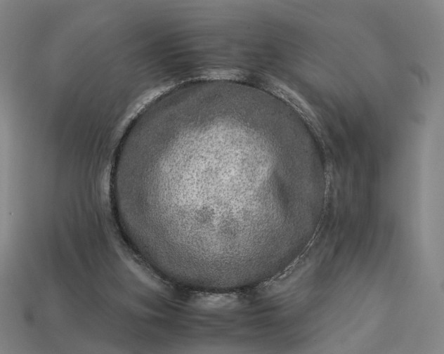 X0000112950155200909071123