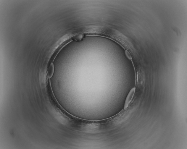 X0000112950156200909071123