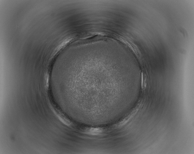 X0000112950157200909071123