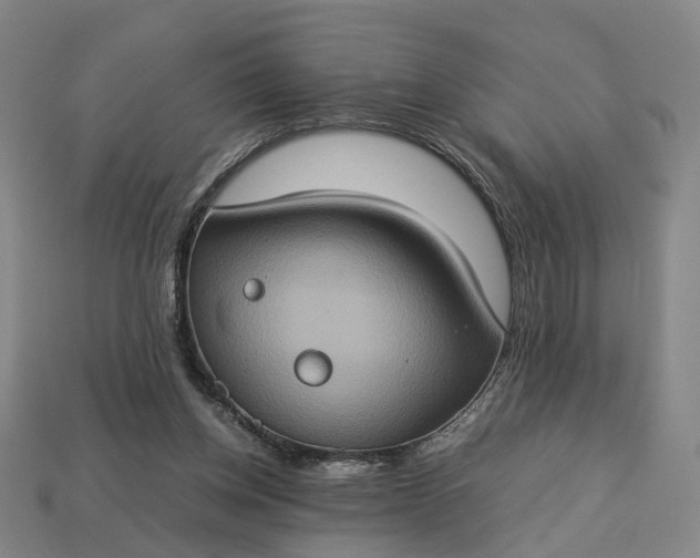 X0000112950158200909071123