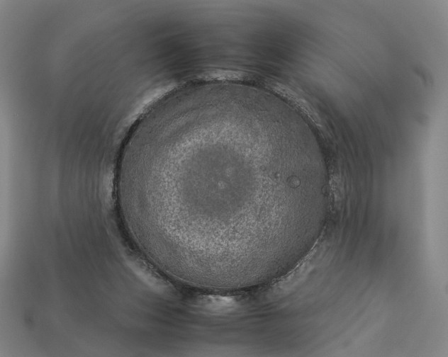 X0000112950159200909071123