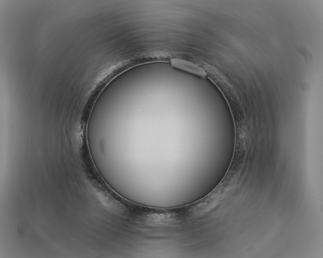 X0000112950160200909071123