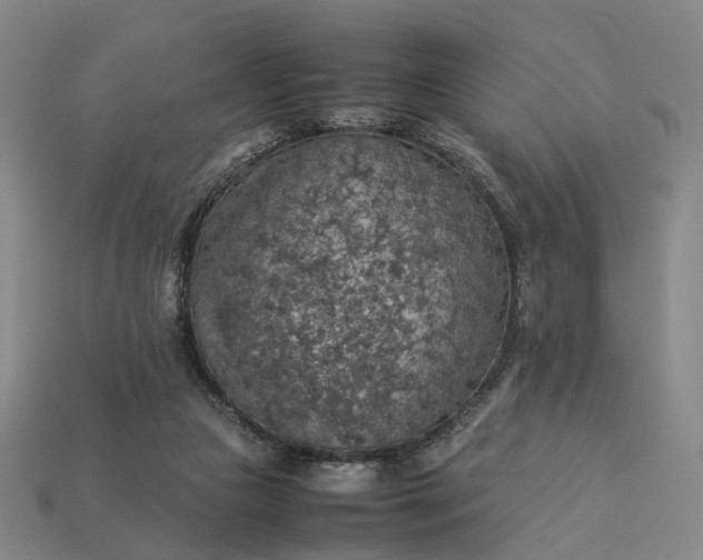 X0000112950161200909071123