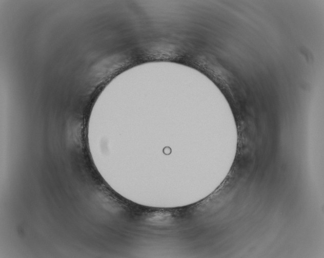 X0000112950162200909071123