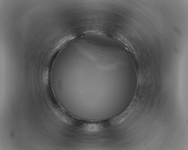 X0000112950163200909071123