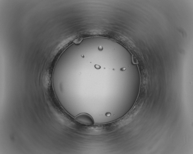 X0000112950164200909071123