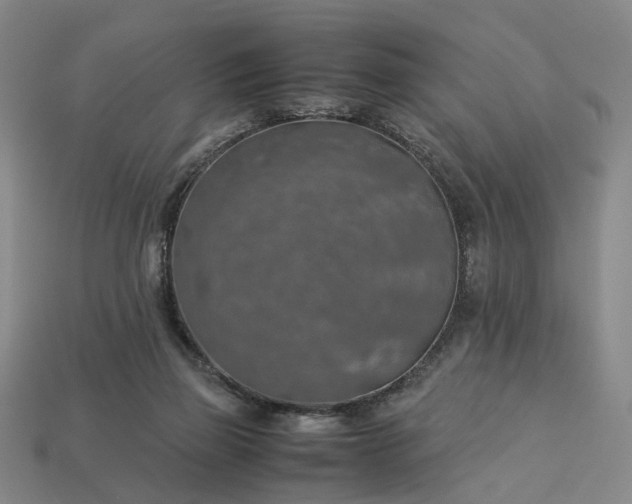 X0000112950165200909071123