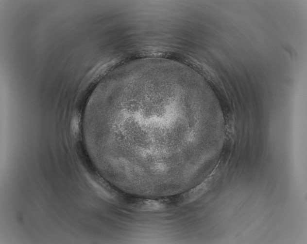 X0000112950166200909071123