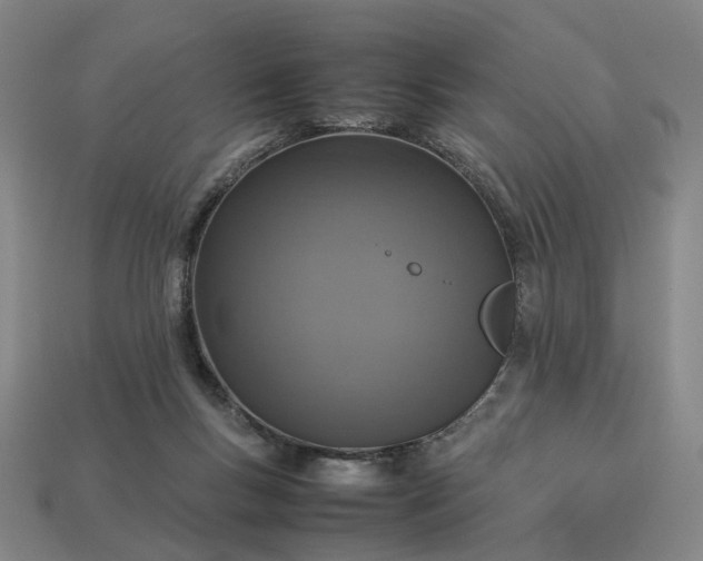 X0000112950167200909071123