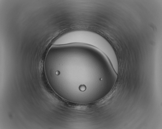 X0000112950168200909071123