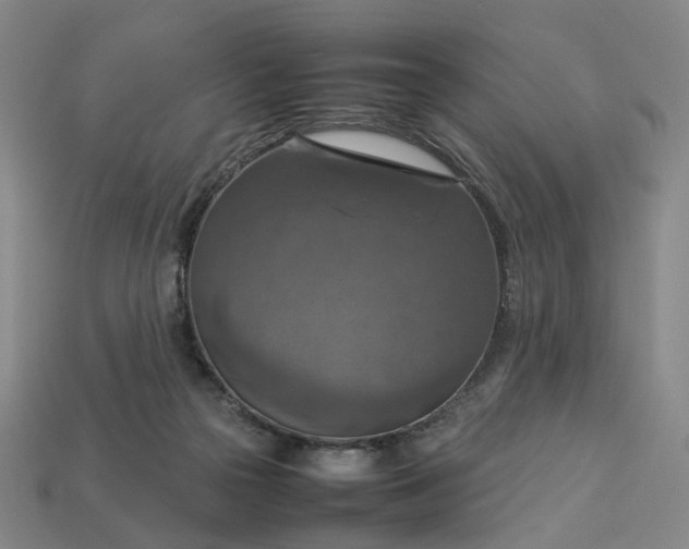 X0000112950169200909071123