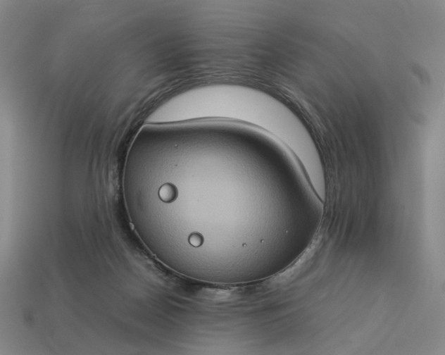 X0000112950170200909071123