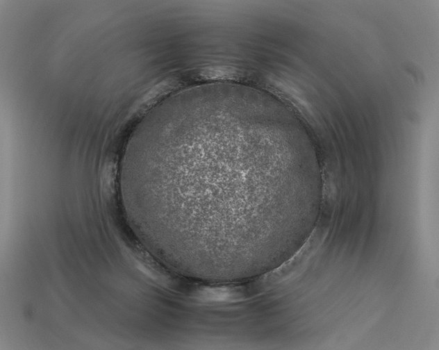 X0000112950171200909071123