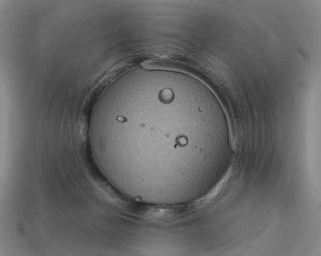 X0000112950174200909071123