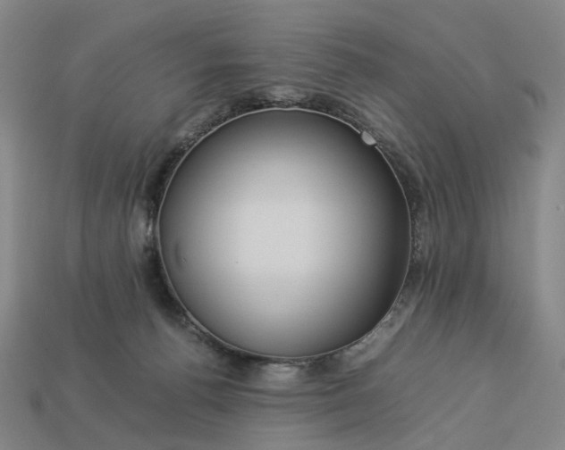 X0000112950176200909071123