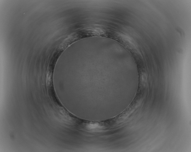 X0000112950177200909071123