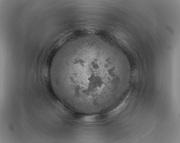 X0000112950178200909071123