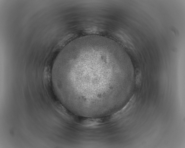 X0000112950179200909071123