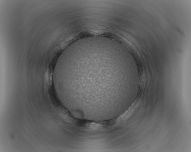 X0000112950180200909071123