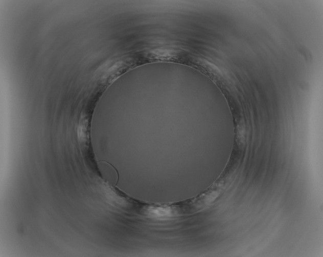 X0000112950181200909071123