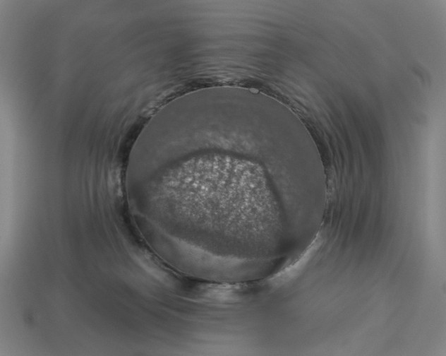 X0000112950182200909071123