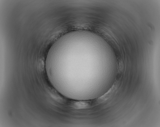 X0000112950183200909071123