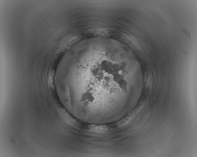 X0000112950185200909071123