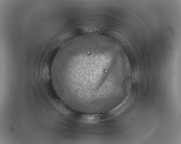 X0000112950187200909071123