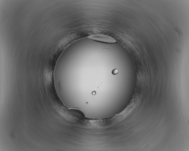 X0000112950188200909071123