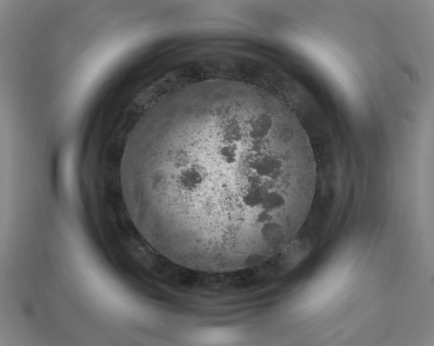 X0000112950189200909071123