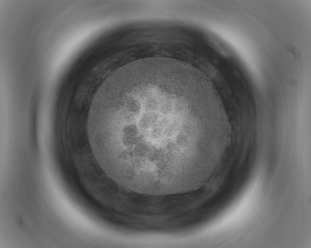 X0000112950191200909071123