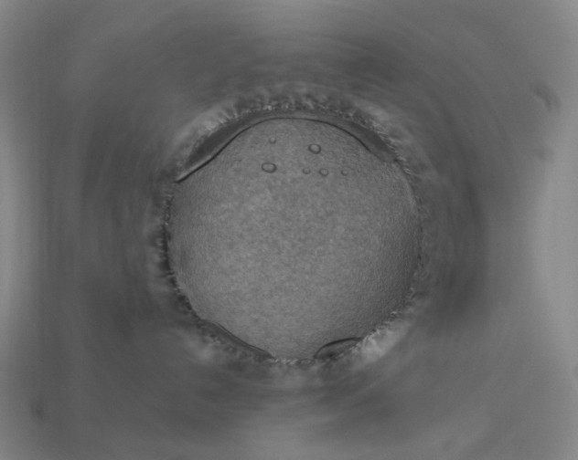 X0000112950192200909071123