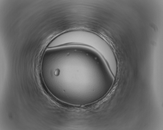 X0000112950193200909071122