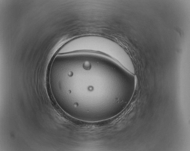 X0000112950195200909071122