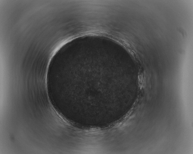 X0000112950196200909071122