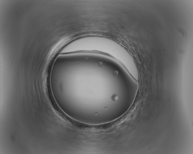 X0000112950197200909071122