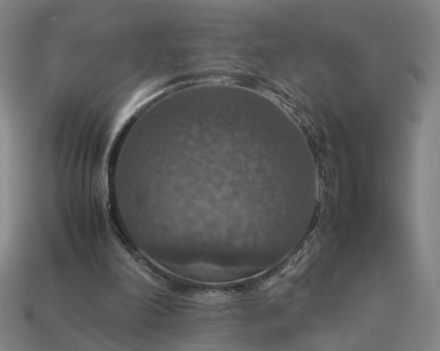 X0000112950198200909071122