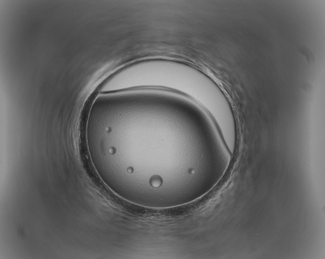 X0000112950199200909071122