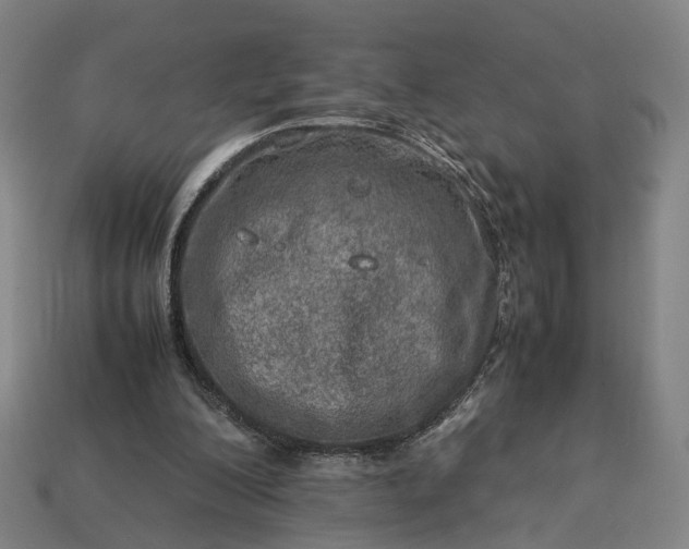 X0000112950200200909071122