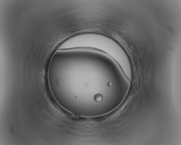 X0000112950201200909071122