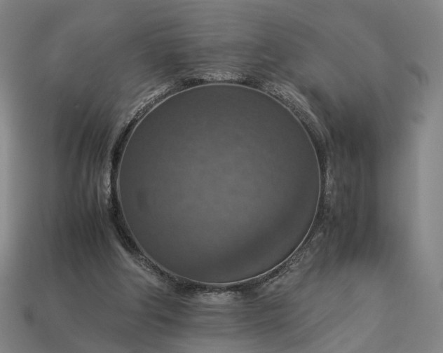 X0000112950202200909071122