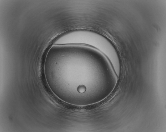 X0000112950203200909071122