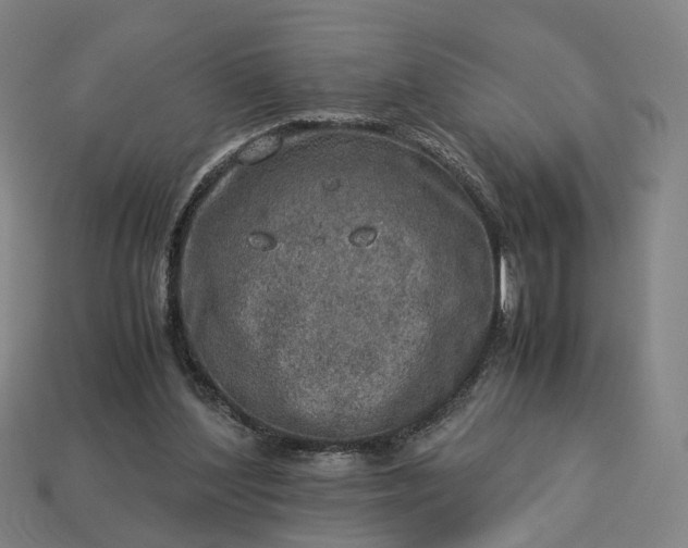 X0000112950204200909071122