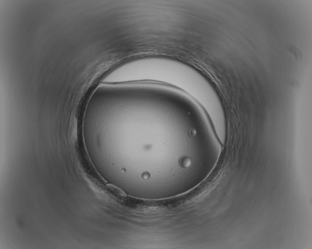 X0000112950205200909071122