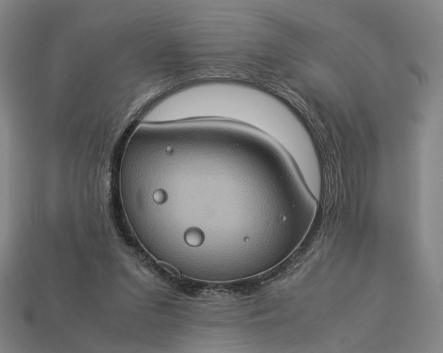 X0000112950207200909071122