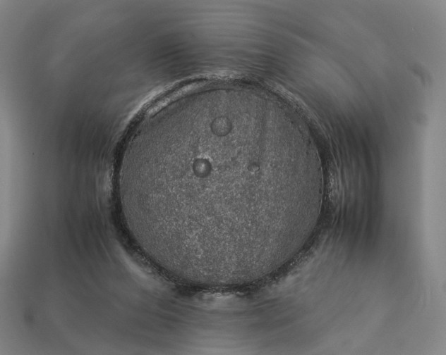 X0000112950208200909071122