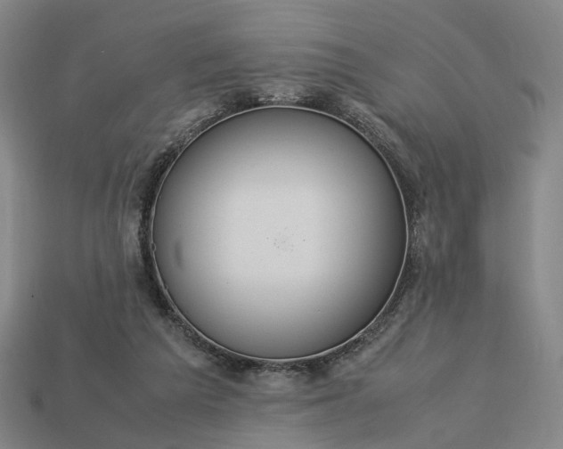 X0000112950209200909071122